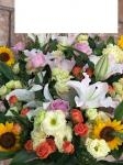 FUNDES上野さまへお届けしたお花さんたち♪｜「ふじフラワー」　（東京都台東区の花キューピット加盟店 花屋）のブログ