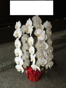 東上野へお届けしたお花さん♪｜「ふじフラワー」　（東京都台東区の花キューピット加盟店 花屋）のブログ