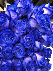 青い薔薇入荷いたしました！｜「ふじフラワー」　（東京都台東区の花キューピット加盟店 花屋）のブログ