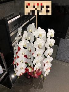 御移転の御祝に　御祝の胡蝶蘭鉢を　台東区　元浅草へお届けいたしました♪｜「ふじフラワー」　（東京都台東区の花キューピット加盟店 花屋）のブログ