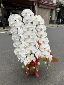 台東区　下谷へ　御祝の胡蝶蘭鉢をお届けいたしました♪｜「ふじフラワー」　（東京都台東区の花キューピット加盟店 花屋）のブログ